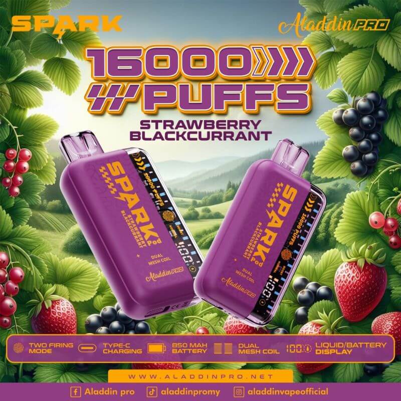 ALADDIN-SPARK-16K-STRAWBERRY-BLACKCURRANT-SG-Vape-Hub